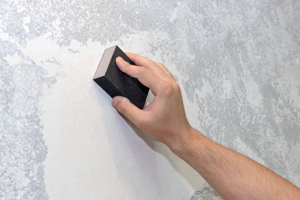 Best Dehumidification Services  in Elko New Market, MN