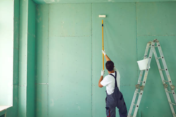 Best Commercial Mold Inspection  in Elko New Market, MN