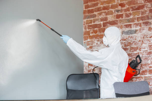 Best Biohazard Mold Removal  in Elko New Market, MN