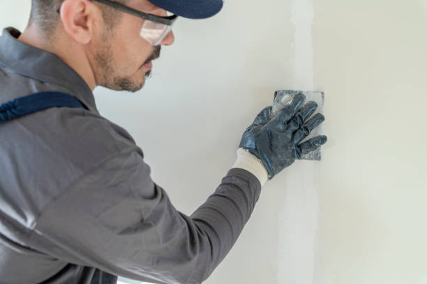 Best Indoor Air Quality Assessment  in Elko New Market, MN