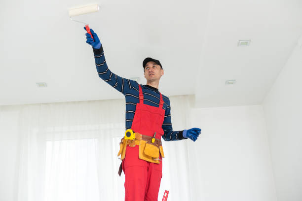 Best Post-Construction Mold Inspection  in Elko New Market, MN