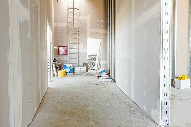 Best Attic Mold Removal  in Elko New Market, MN