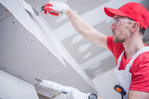 Best Mold Documentation for Insurance Claims  in Elko New Market, MN