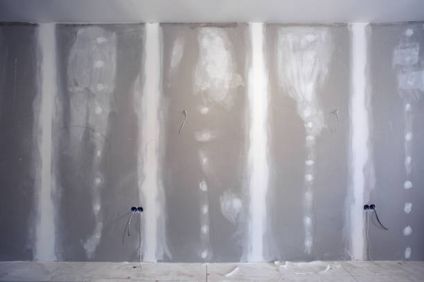 Best Basement Mold Removal  in Elko New Market, MN