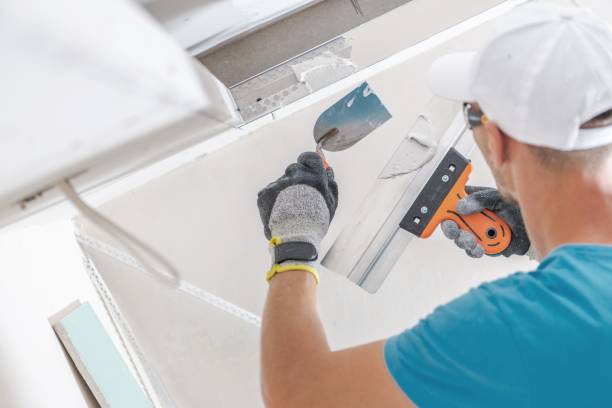 Best Mold Removal for HVAC Installations  in Elko New Market, MN